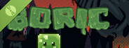 Boric  Demo