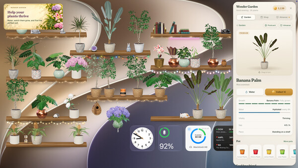 Wonder Garden — 3