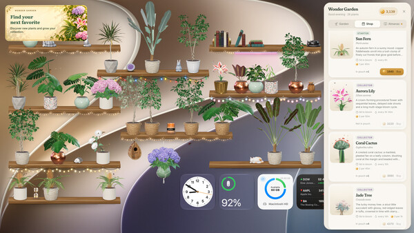 Wonder Garden — 4
