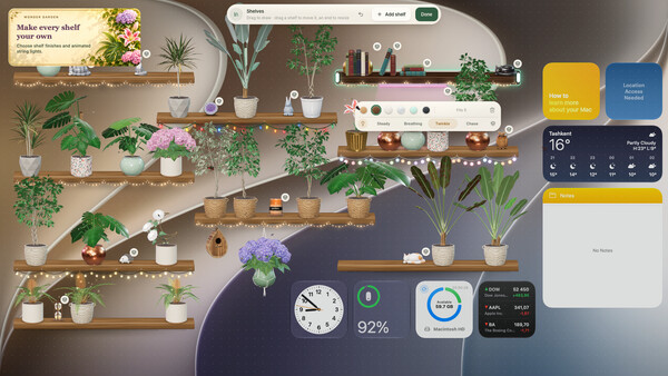 Wonder Garden — 7