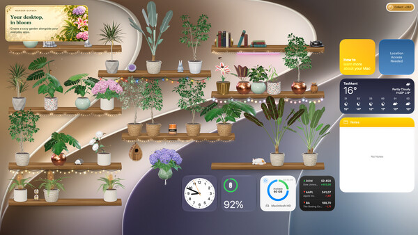Wonder Garden — 1