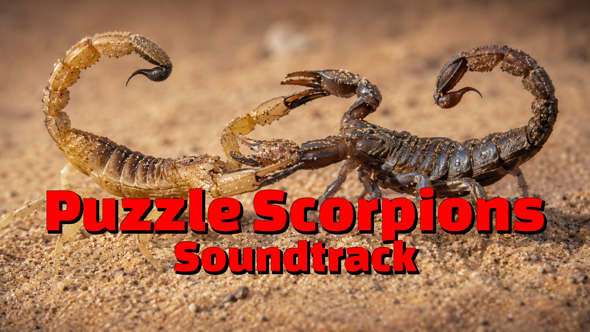 Puzzle Scorpions Soundtrack