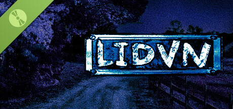 LIDVN Demo