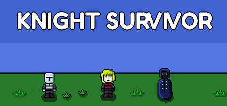 Knight Survivor 표지