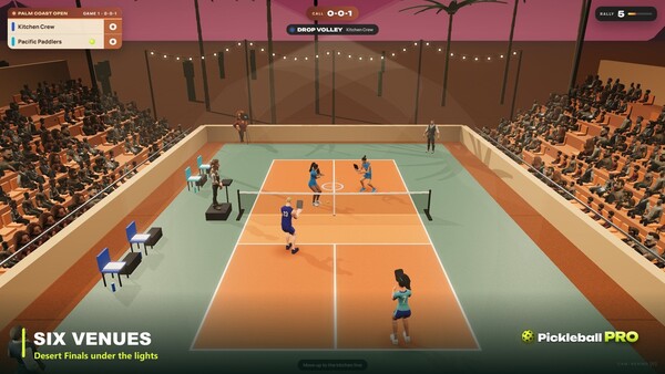 Pickleball Pro — 4