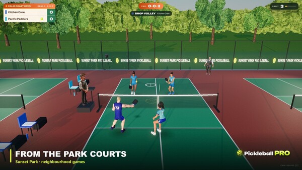Pickleball Pro — 7
