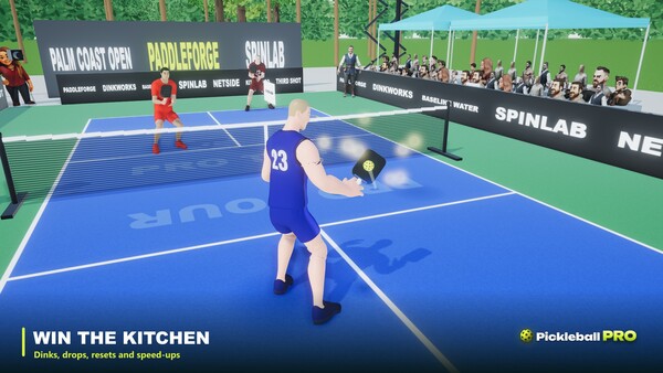 Pickleball Pro — 3