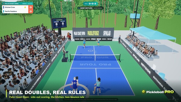Pickleball Pro — 2
