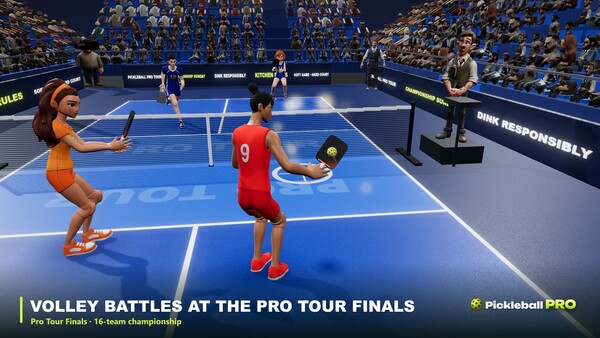 Pickleball Pro — 1