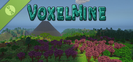 VoxelMine Demo