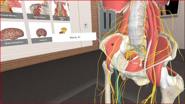 3D Organon VR Anatomy 2018