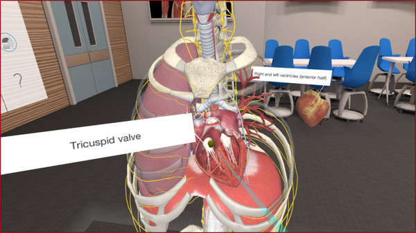 3D Organon VR Anatomy 2018