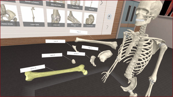 3D Organon VR Anatomy 2018
