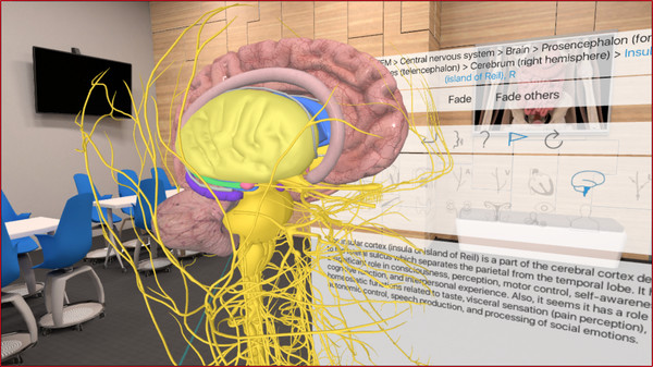 3D Organon VR Anatomy 2018