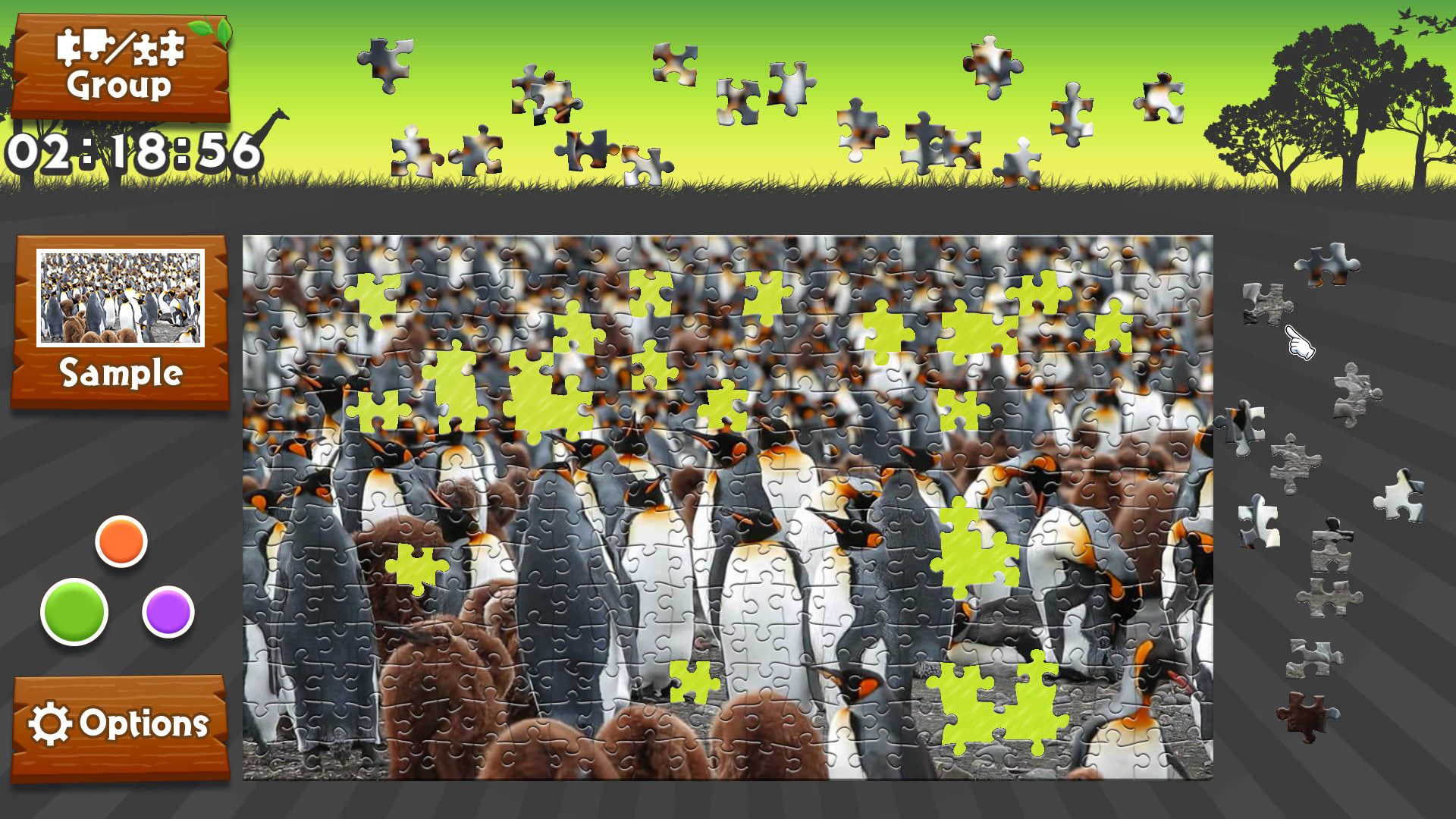 野生动物拼图