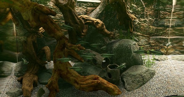 Biotope Screenshot