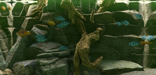 Biotope Screenshot