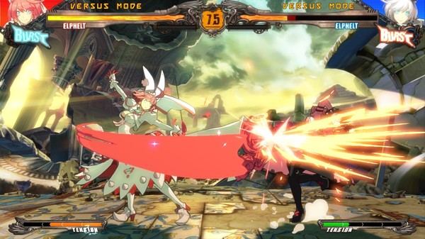 Arrange Costume Set Elphelt
