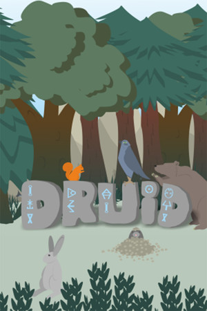 Cover art of Druid