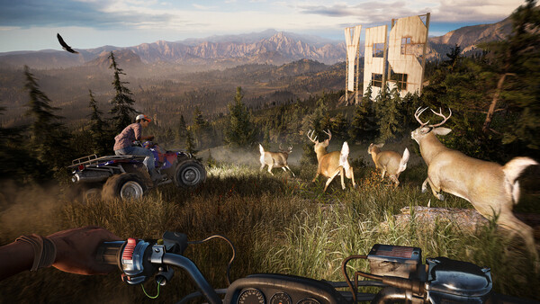 screenshot10