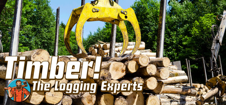 Timber! The Logging Experts steam charts