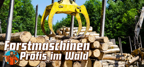 Timber! The Logging Experts