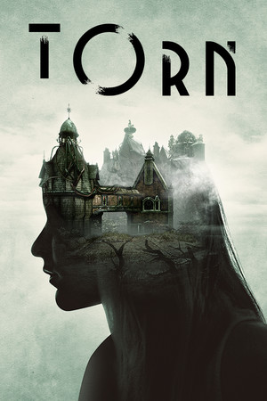 Torn Steam CD Key / PC / cover art