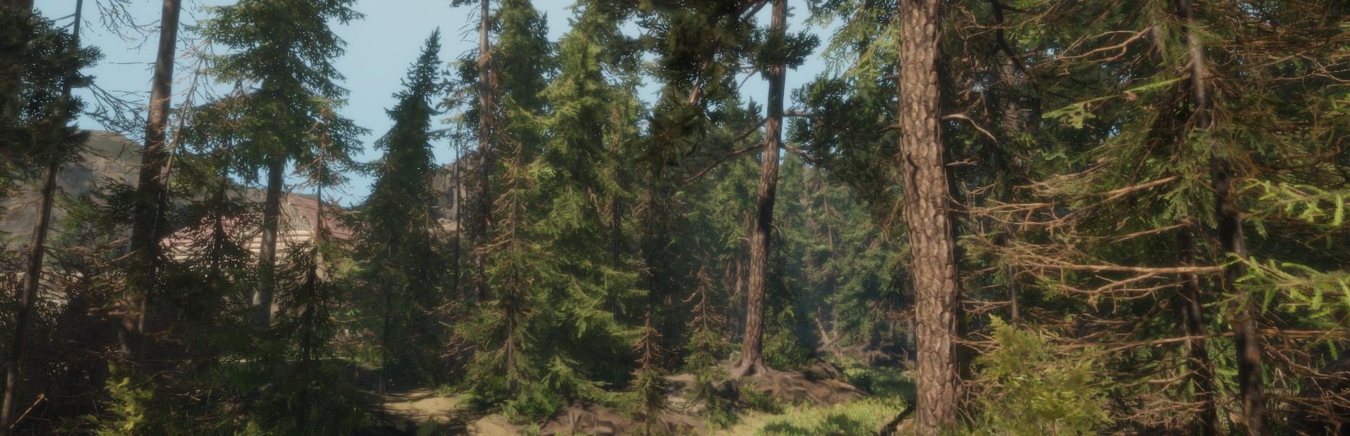 A Walk in the Woods