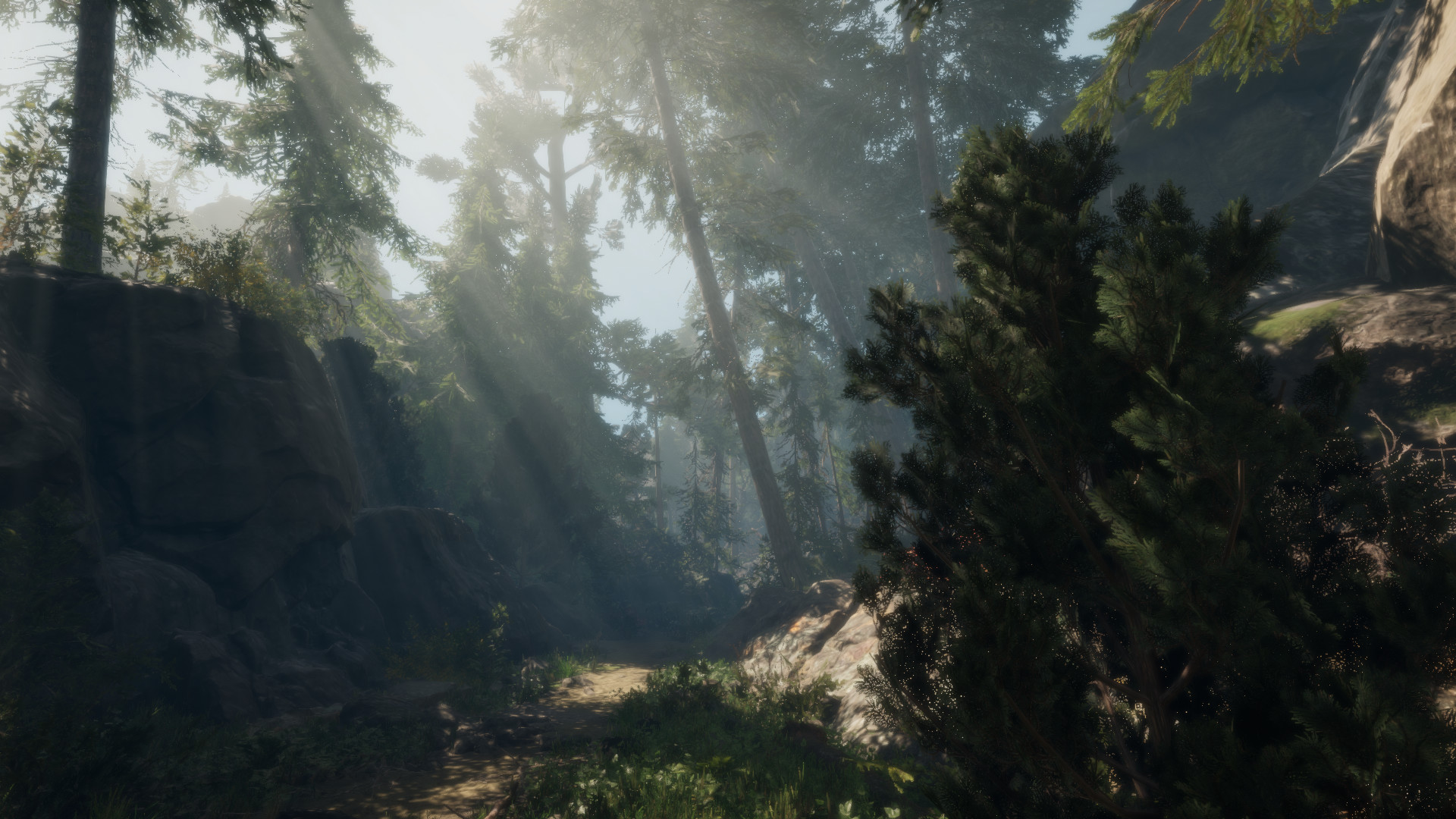 A Walk in the Woods Featured Screenshot #1