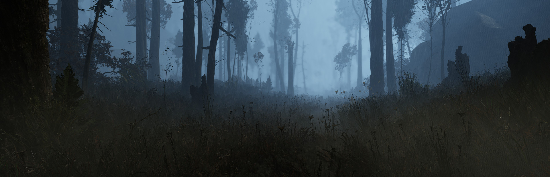 The Land of Pain