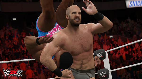 WWE 2K17 - New Moves Pack