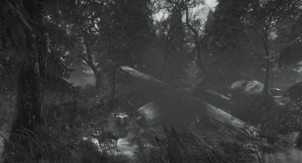 Investigator - New Year DLC