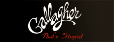 Gallagher: That's Stupid game capsule image