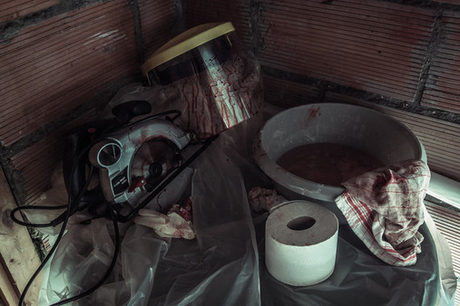 Screenshot z The Fan Screenshot z The Fan