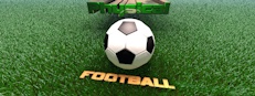 Score a goal (Physical football)