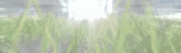 DRAGON QUEST HEROES™ II video 2