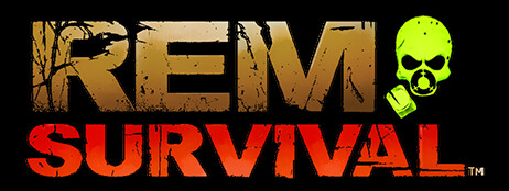 Rem Survival cover art
