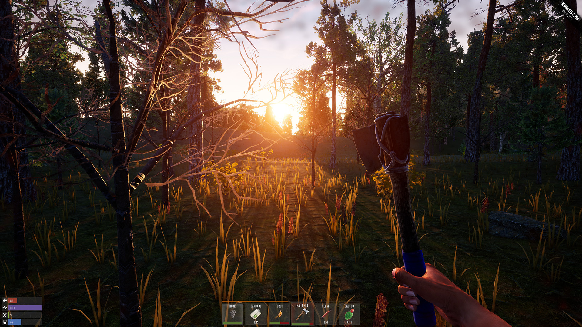 Rem Survival screenshot