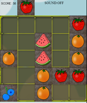 Fruit Arranger