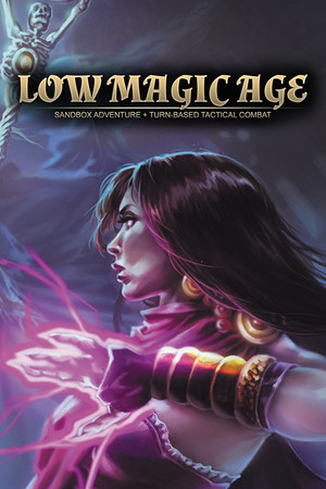 Cover art of Low Magic Age