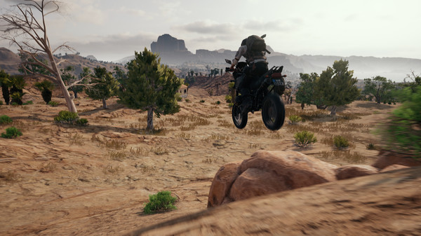PUBG: BATTLEGROUNDS Screenshot