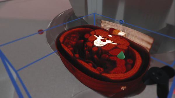 The Body VR: Anatomy Viewer screenshot 4