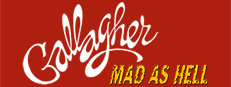 Gallagher: Mad As Hell game capsule image