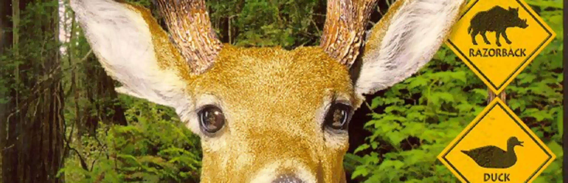Redneck Deer Huntin'