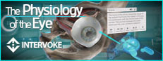 The Physiology of the Eye