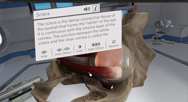 Screenshot z The Physiology of the Eye