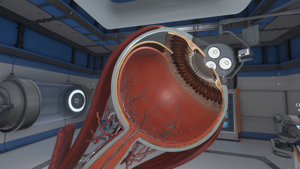 Screenshot z The Physiology of the Eye
