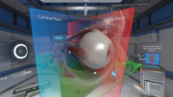 Screenshot z The Physiology of the Eye