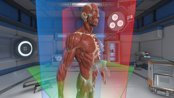 Screenshot z The Physiology of the Eye