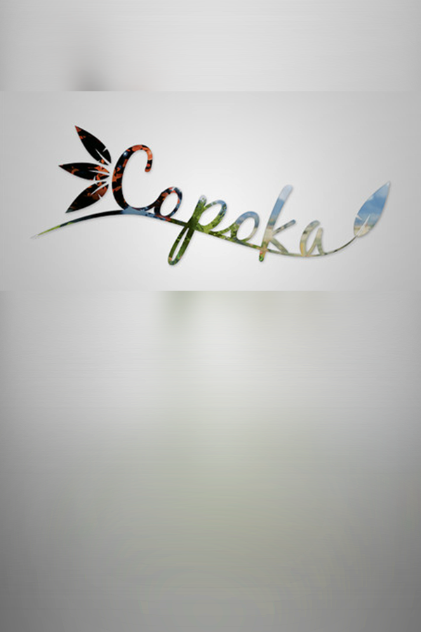 Cover art of Copoka